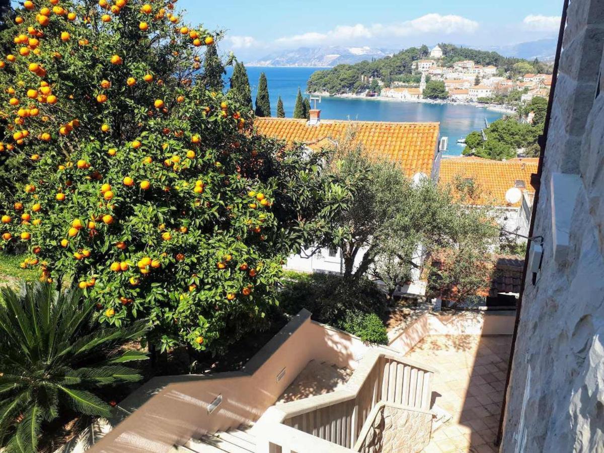 City Apartments Bobic Cavtat Buitenkant foto